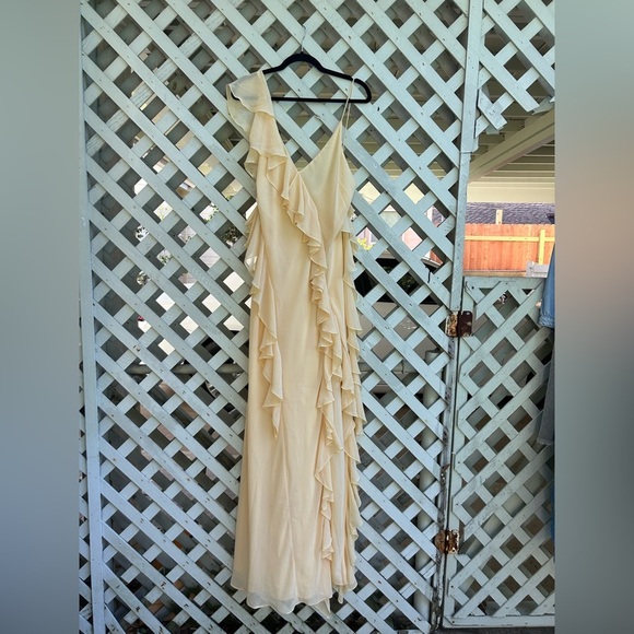 Ronny kobo Olivialle Dress - Picture 5 of 6